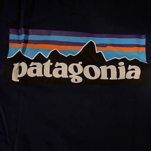 Patagonia T-Shirt